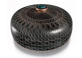 Illustration for article titled The Best, Weirdest, and Most Wonderful Gadget Designs of 2008